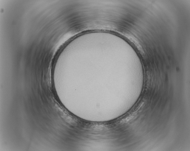 X0000088210982200706121801