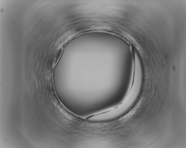 X0000088210985200706121801