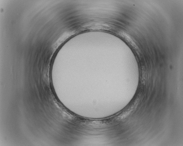 X0000088210986200706121801