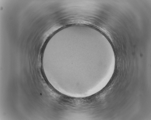 X0000088210987200706121801