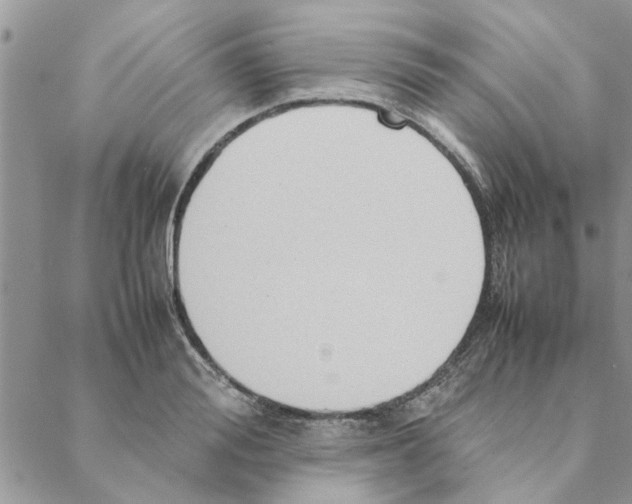 X0000088210988200706121801