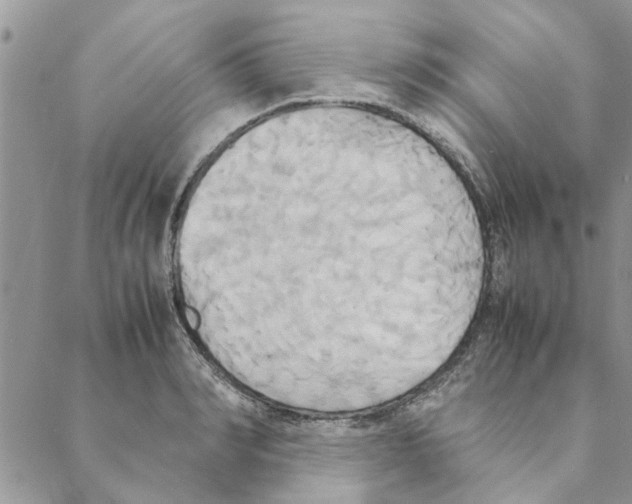 X0000088210990200706121801