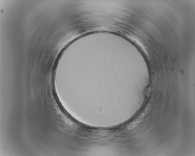 X0000088210991200706121801