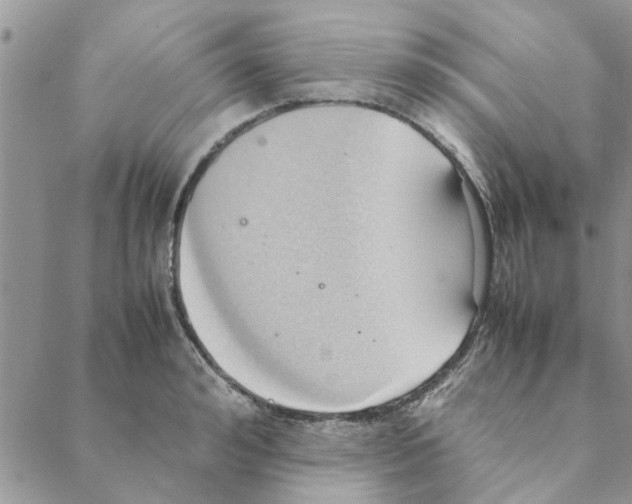 X0000088210992200706121801