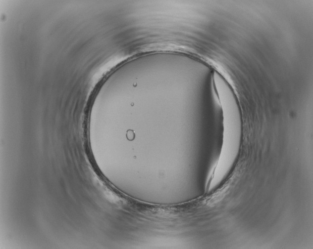 X0000088210995200706121801