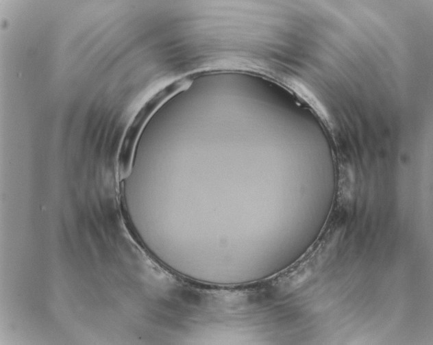 X0000088210996200706121801