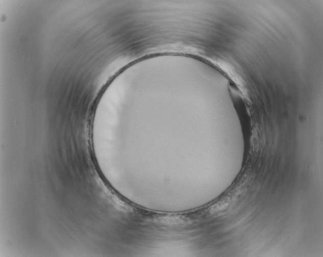 X0000088210998200706121801