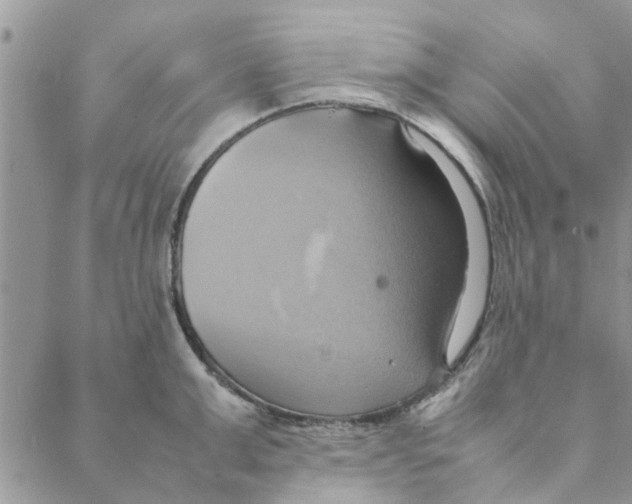 X0000088210999200706121801