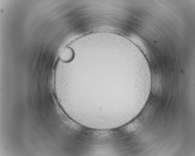 X0000088211000200706121801