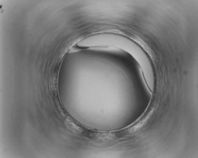 X0000088211001200706121801