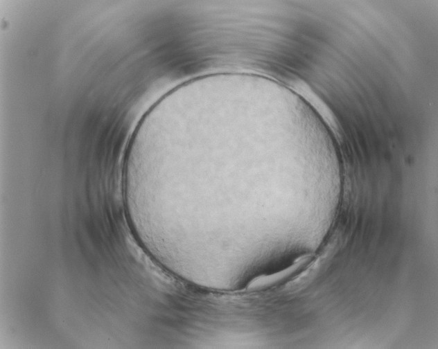 X0000088211004200706121801