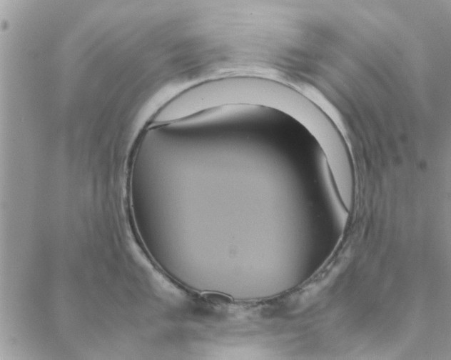 X0000088211005200706121801