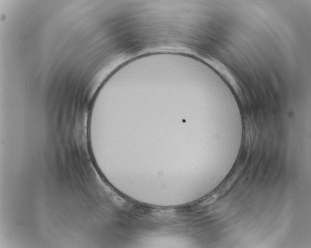 X0000088211006200706121801