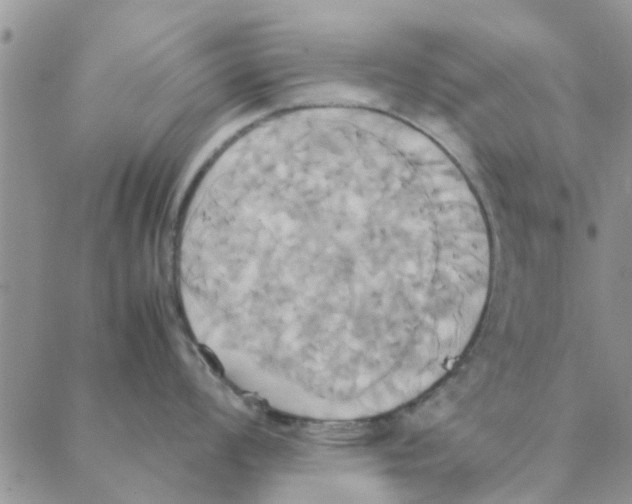 X0000088211008200706121801