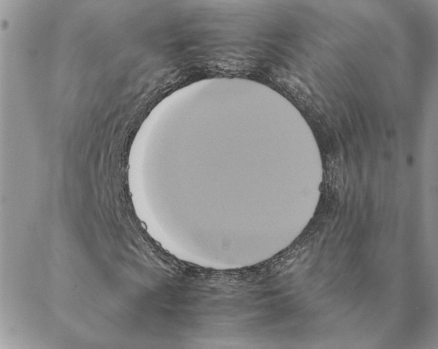 X0000088211009200706121800