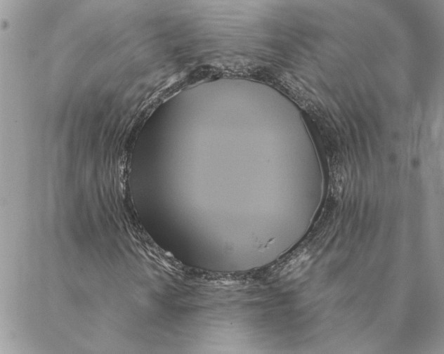 X0000088211010200706121800