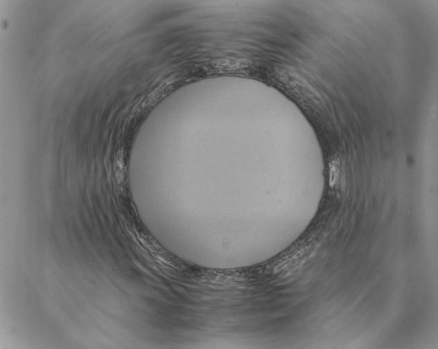 X0000088211011200706121800