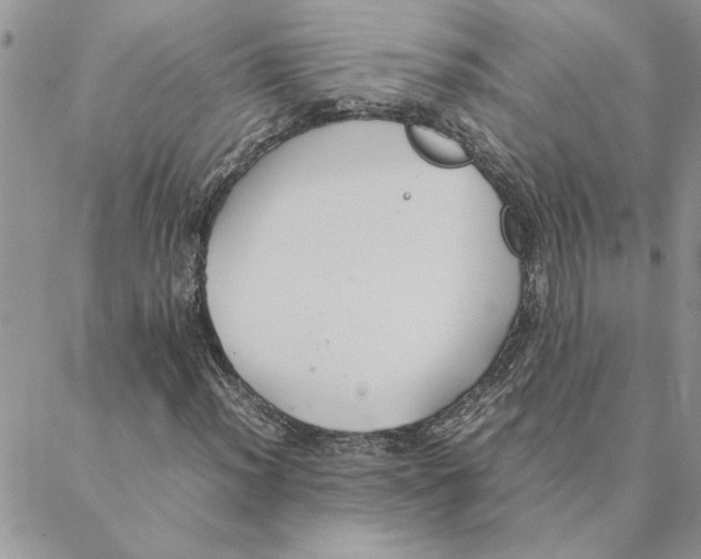 X0000088211012200706121800