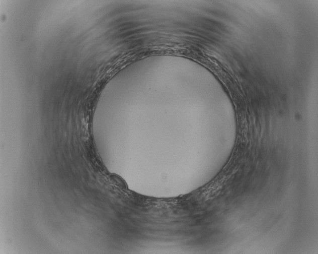 X0000088211013200706121800