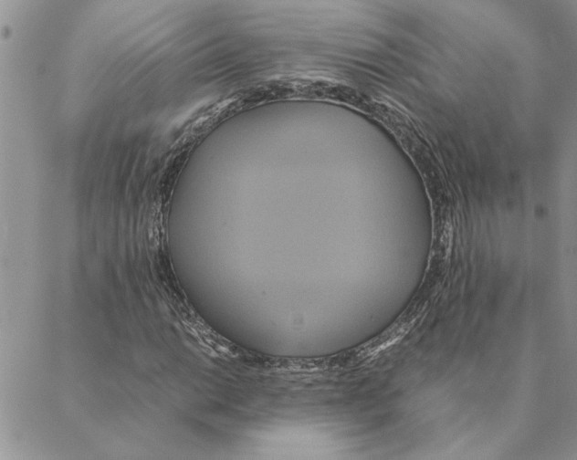 X0000088211014200706121800