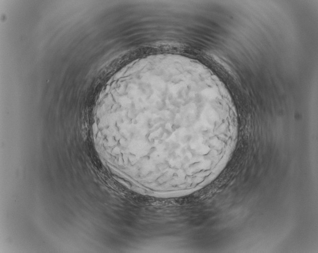 X0000088211015200706121800