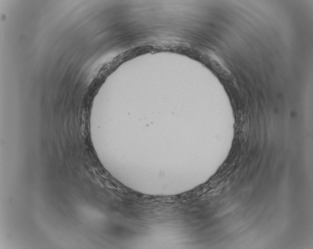 X0000088211016200706121800