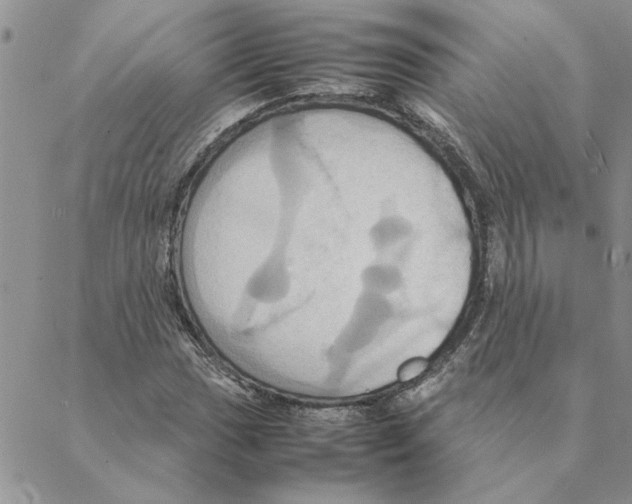 X0000088211017200706121800