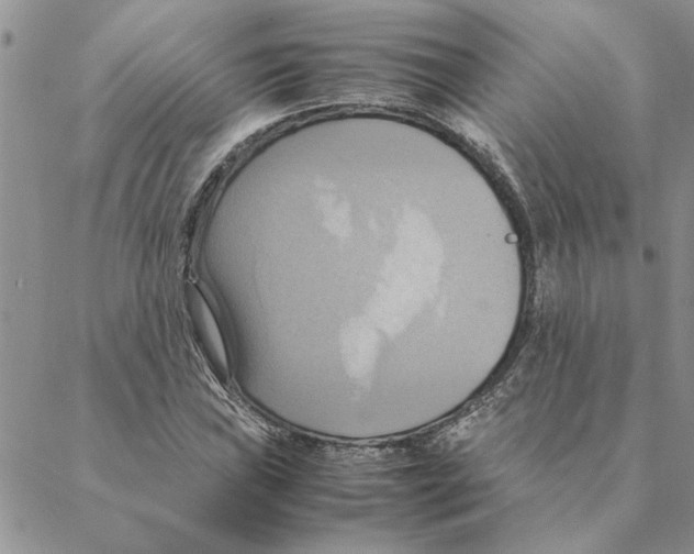 X0000088211019200706121800