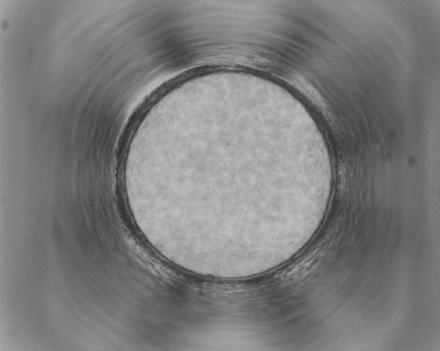 X0000088211020200706121800