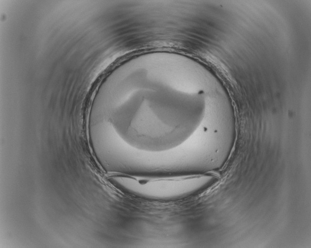 X0000088211023200706121800