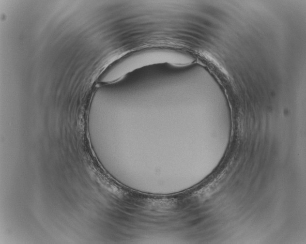 X0000088211025200706121800