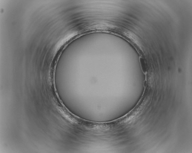 X0000088211026200706121800