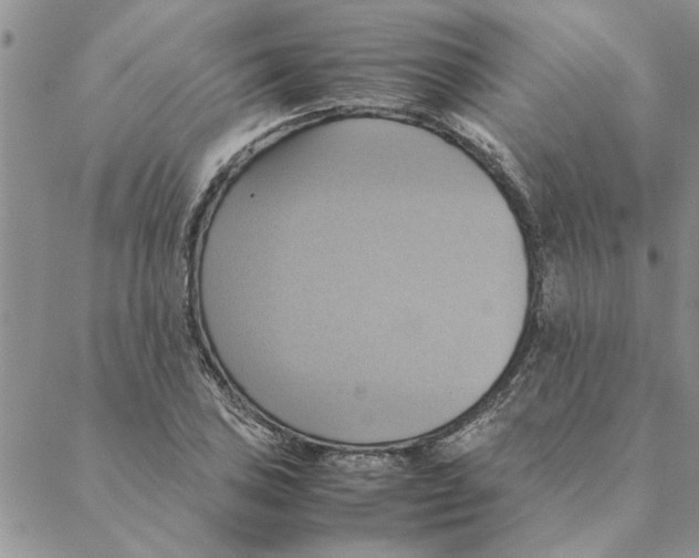 X0000088211027200706121800