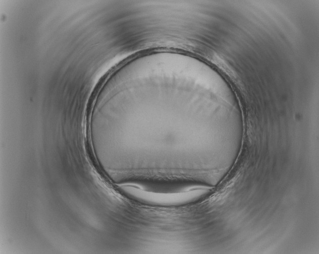 X0000088211028200706121800