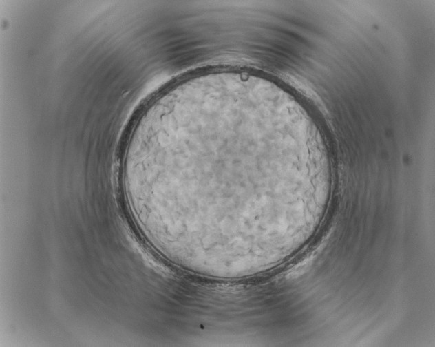 X0000088211029200706121800