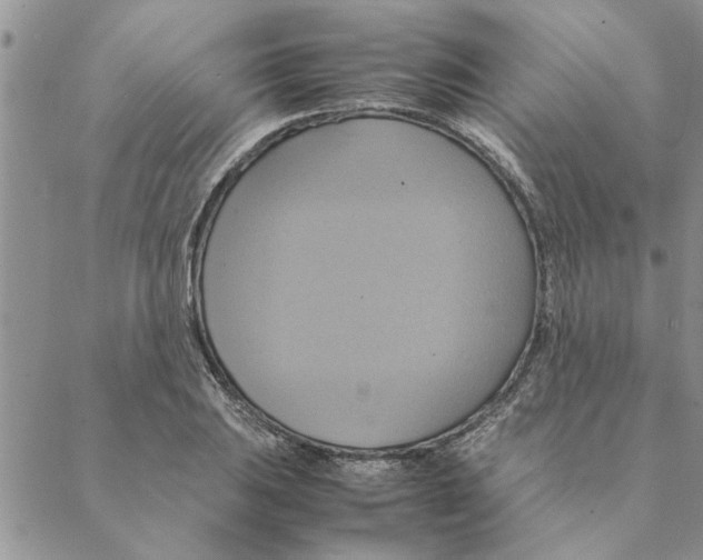 X0000088211031200706121800