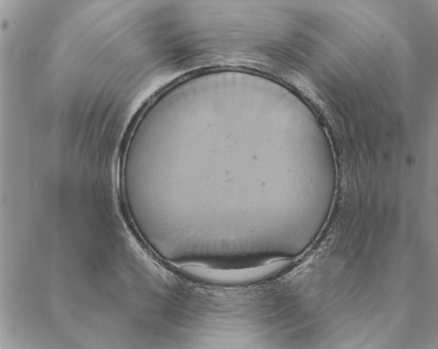 X0000088211032200706121800