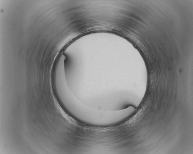 X0000088211034200706121800