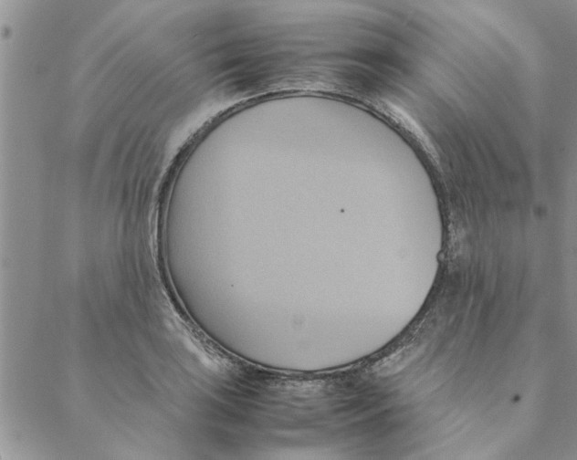 X0000088211035200706121800