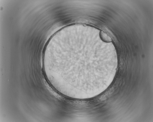 X0000088211036200706121800