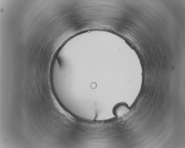 X0000088211038200706121800