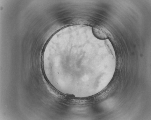 X0000088211039200706121800