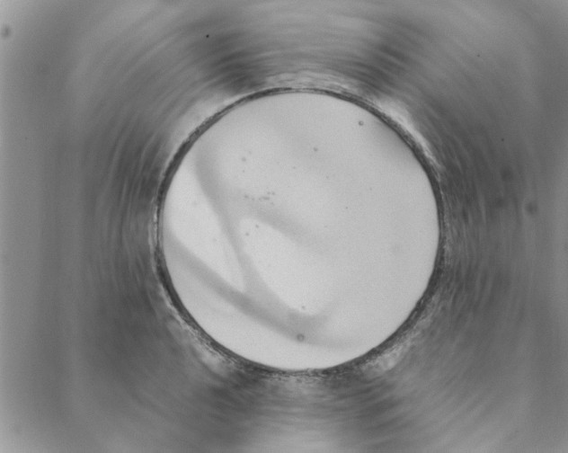 X0000088211040200706121800