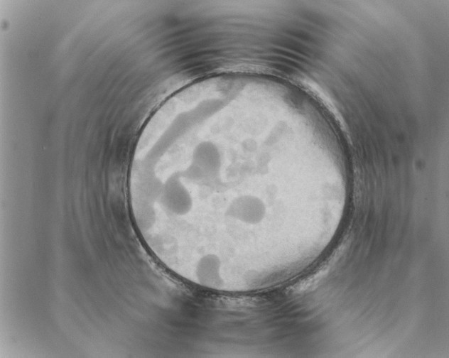 X0000088211041200706121800