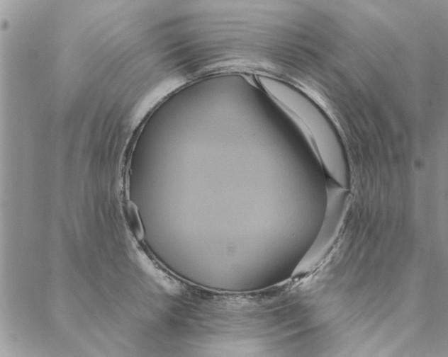 X0000088211042200706121800