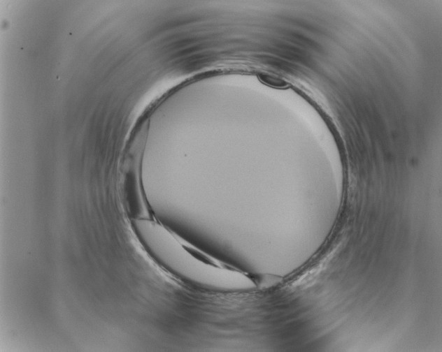 X0000088211045200706121800