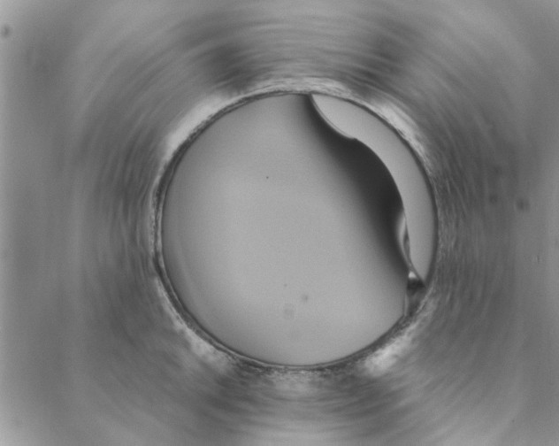 X0000088211046200706121800