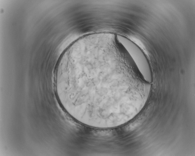 X0000088211047200706121800