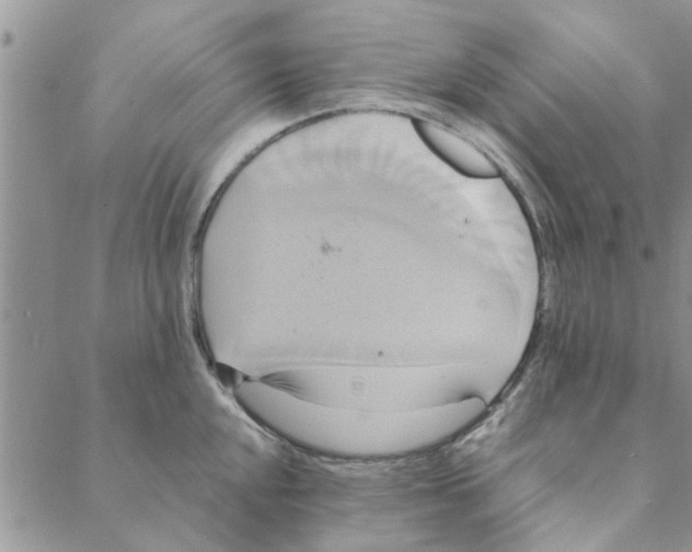 X0000088211048200706121800