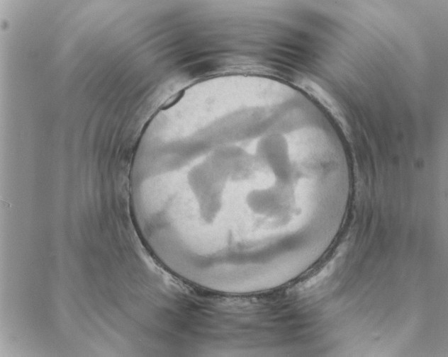 X0000088211049200706121800